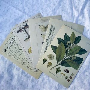 Cottagecore Vintage Style Postcard